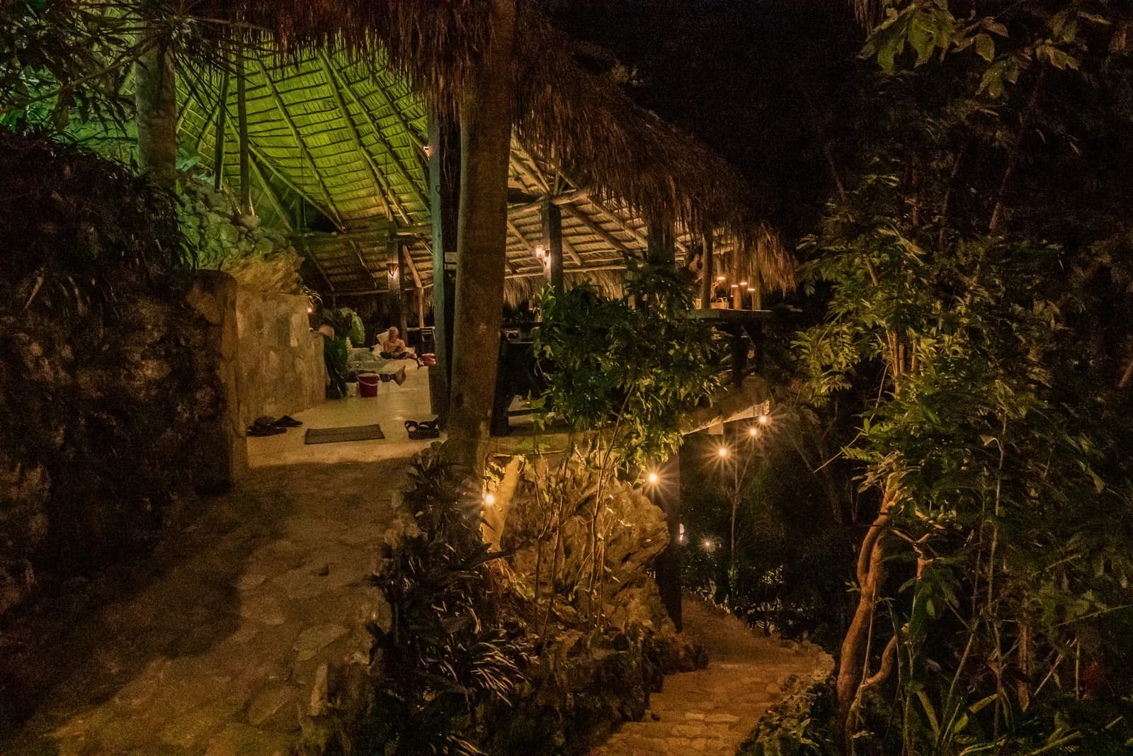 A Sacred Medicine Journey